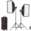 Image de Godox Kit 2 Torches LED SL100D