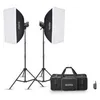 Image de Godox MS300V-F kit 2 torches flash 300Ws