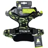 Image de Harnais de randonnée pour chien M-Pets Vert M 10829199