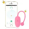 Image de Oeuf vaginal connecté KEGEL COACH 6 x 3cm