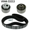 Image de Kit distribution SKF VKMA 03213