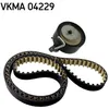 Image de Kit distribution SKF VKMA 04229