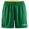 Image de Short femme Craft Premier Vert 2XL C1912762-651000