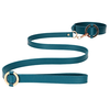 Image de Collier et Laisse HALO COL Bleu