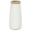 Image de Bazar Bizarre Le vase sournois-Blanc Naturel-L