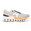 Image de Chaussures de running On Cloudmonster 2 - Homme - 47.5