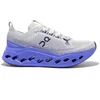 Image de Chaussures de running On Cloudsurfer Max - Homme - 44.5
