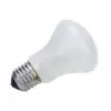 Image de ELINCHROM lampe pilote 100W E27