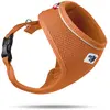 Image de Harnais pour chien basique Curli Orange S PN1438