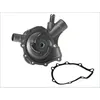 Image de Pompe à eau MAGNETI MARELLI 352316170684