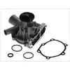 Image de Pompe à eau MAGNETI MARELLI 352316171019