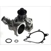 Image de Pompe à eau MAGNETI MARELLI 352316170047