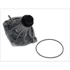Image de Pompe à eau MAGNETI MARELLI 352316170018