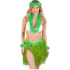 Image de Kit hawaïen vert   jupe hula et accessoires pour soirée tropicale