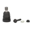 Image de Rotule de suspension MOOG AMGK80107
