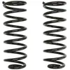 Image de Jeu de ressorts de suspension MOOG AMG81099