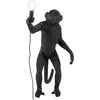 Image de Seletti - Lampe d'extérieur Animaux - Noir - Résine - Designer Marcantonio