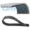 Image de Courroie trapézoïdale à nervures DAYCO 8PK1160HD