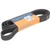 Image de Courroie trapézoïdale à nervures DAYCO 8PK2575HD