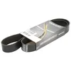Image de Courroie trapézoïdale à nervures DAYCO 8PK1190HD