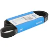 Image de Courroie trapézoïdale à nervures DAYCO DAY6PK1059EE