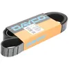 Image de Courroie trapézoïdale à nervures DAYCO 8PK1505HD