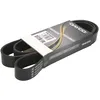 Image de Courroie trapézoïdale à nervures DAYCO 8PK1655HD