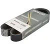 Image de Courroie trapézoïdale à nervures DAYCO 8PK980SHD