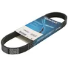 Image de Courroie trapézoïdale à nervures DAYCO 6PK684EE