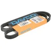 Image de Courroie trapézoïdale à nervures DAYCO 4PK996EEHD