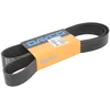 Image de Courroie trapézoïdale à nervures DAYCO 10PK1494HD