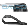 Image de Courroie trapézoïdale à nervures DAYCO 12PK2135HD