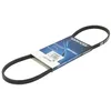 Image de Courroie trapézoïdale à nervures DAYCO 3PK856EE