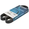 Image de Courroie trapézoïdale à nervures DAYCO 6PK989EE