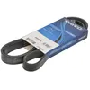 Image de Courroie trapézoïdale à nervures DAYCO 6PK1555S