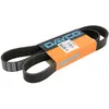Image de Courroie trapézoïdale à nervures DAYCO 8PK1289HD