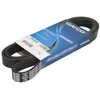 Image de Courroie trapézoïdale à nervures DAYCO 6PK1663S