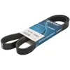 Image de Courroie trapézoïdale à nervures DAYCO 7PK1322S