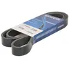 Image de Courroie trapézoïdale à nervures DAYCO 7PK1673S