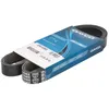 Image de Courroie trapézoïdale à nervures DAYCO 6PK1029EE