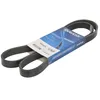 Image de Courroie trapézoïdale à nervures DAYCO 6PK1407S
