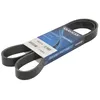 Image de Courroie trapézoïdale à nervures DAYCO 7PK1377S