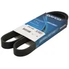 Image de Courroie trapézoïdale à nervures DAYCO 6PK1100S