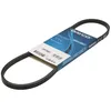 Image de Courroie trapézoïdale à nervures DAYCO 3PK798EE