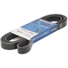 Image de Courroie trapézoïdale à nervures DAYCO 6PK2535