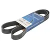 Image de Courroie trapézoïdale à nervures DAYCO 8PK1390