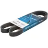 Image de Courroie trapézoïdale à nervures DAYCO 6PK1220S