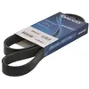 Image de Courroie trapézoïdale à nervures DAYCO 6PK1117S