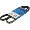 Image de Courroie trapézoïdale à nervures DAYCO 4PK1170