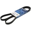 Image de Courroie trapézoïdale à nervures DAYCO 5PK1460